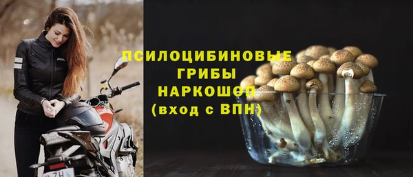 гашиш Дмитриев