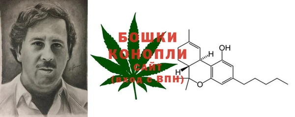 spice Ельня