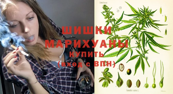 ECSTASY Дмитровск