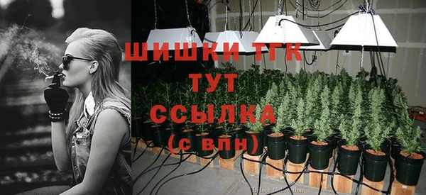 гашиш Дмитриев
