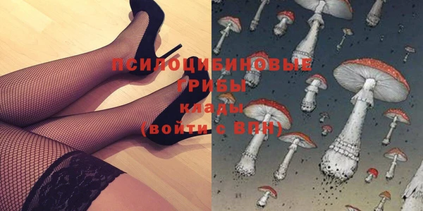 ECSTASY Дмитровск